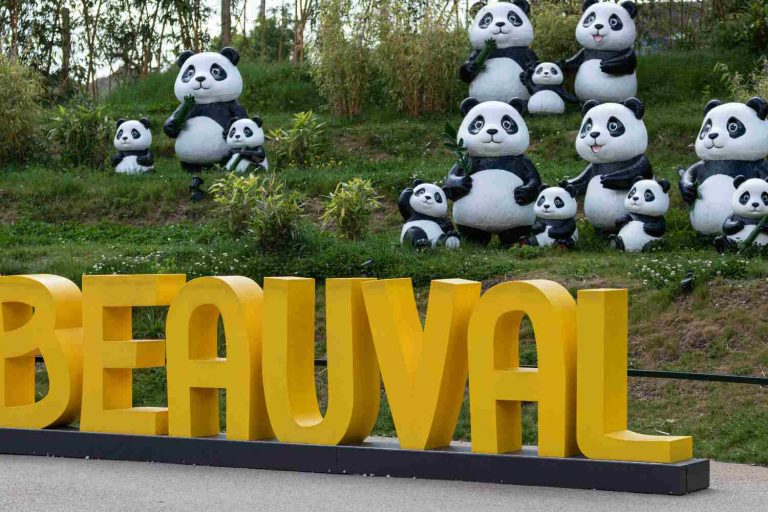 Photos sortie Zoo de Beauval – mai 2026