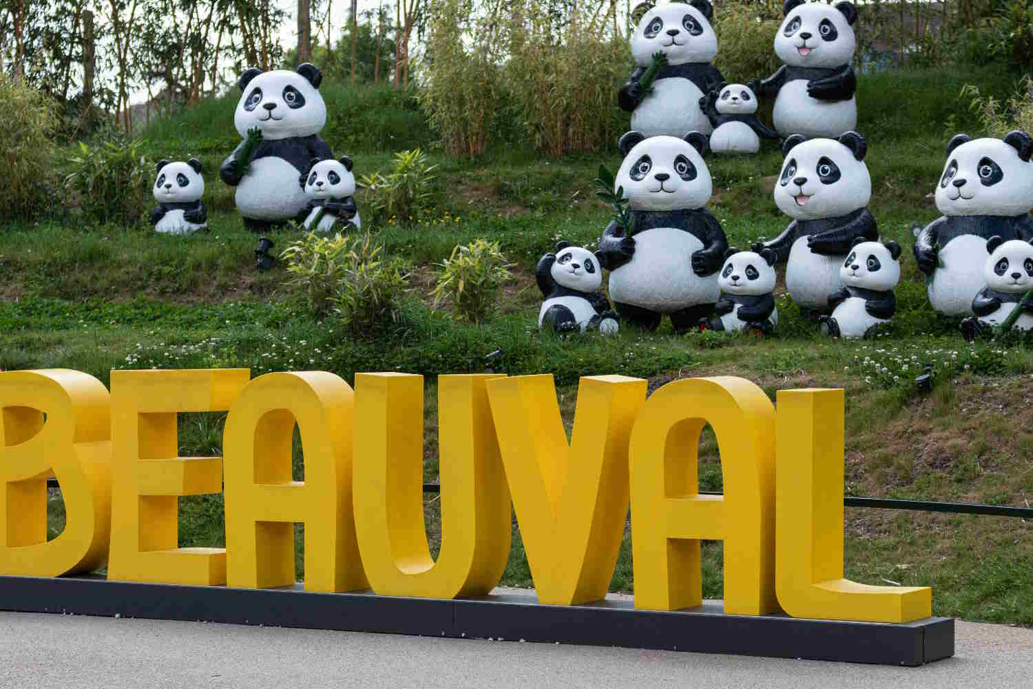 Photos sortie Zoo de Beauval – mai 2026